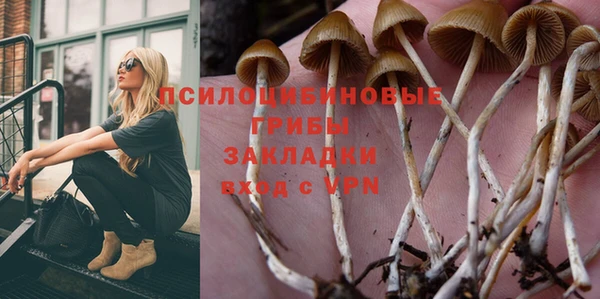 ПСИЛОЦИБИНОВЫЕ ГРИБЫ Алзамай