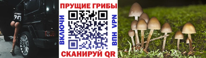Галлюциногенные грибы Magic Shrooms  Болгар 