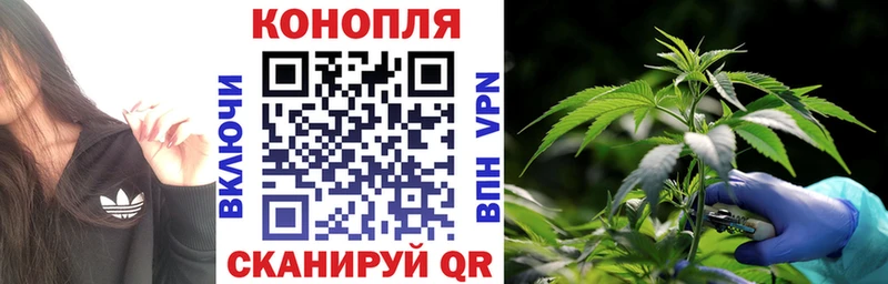 МАРИХУАНА SATIVA & INDICA  Болгар 